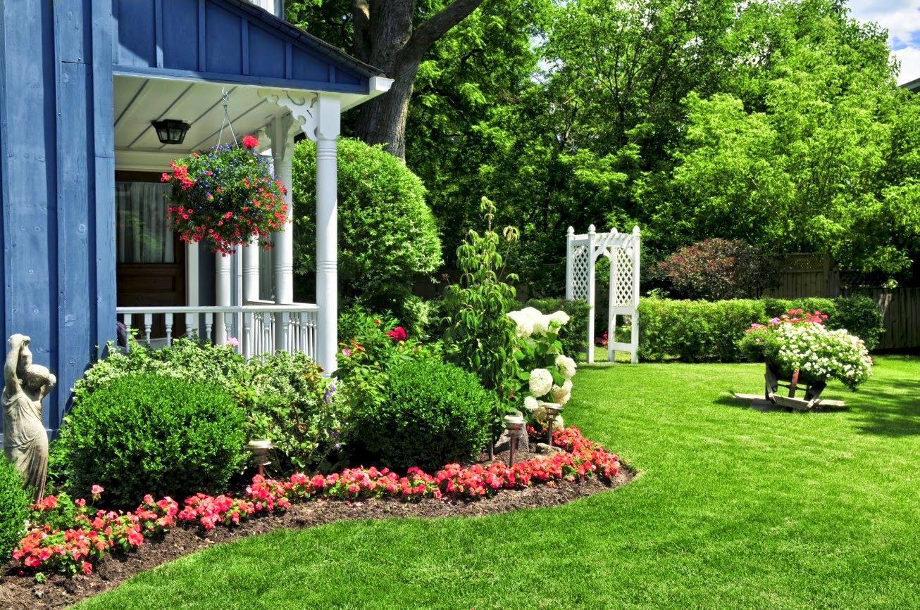 Learn how to care for trees